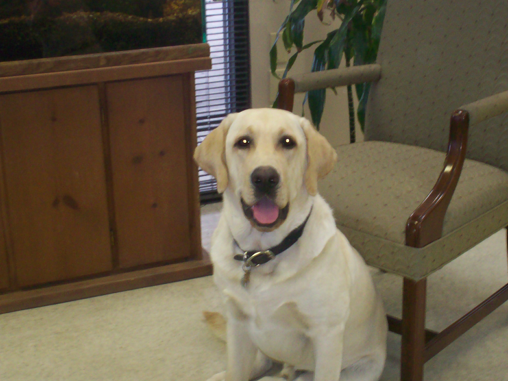 body collision paint repair spartanburg sc