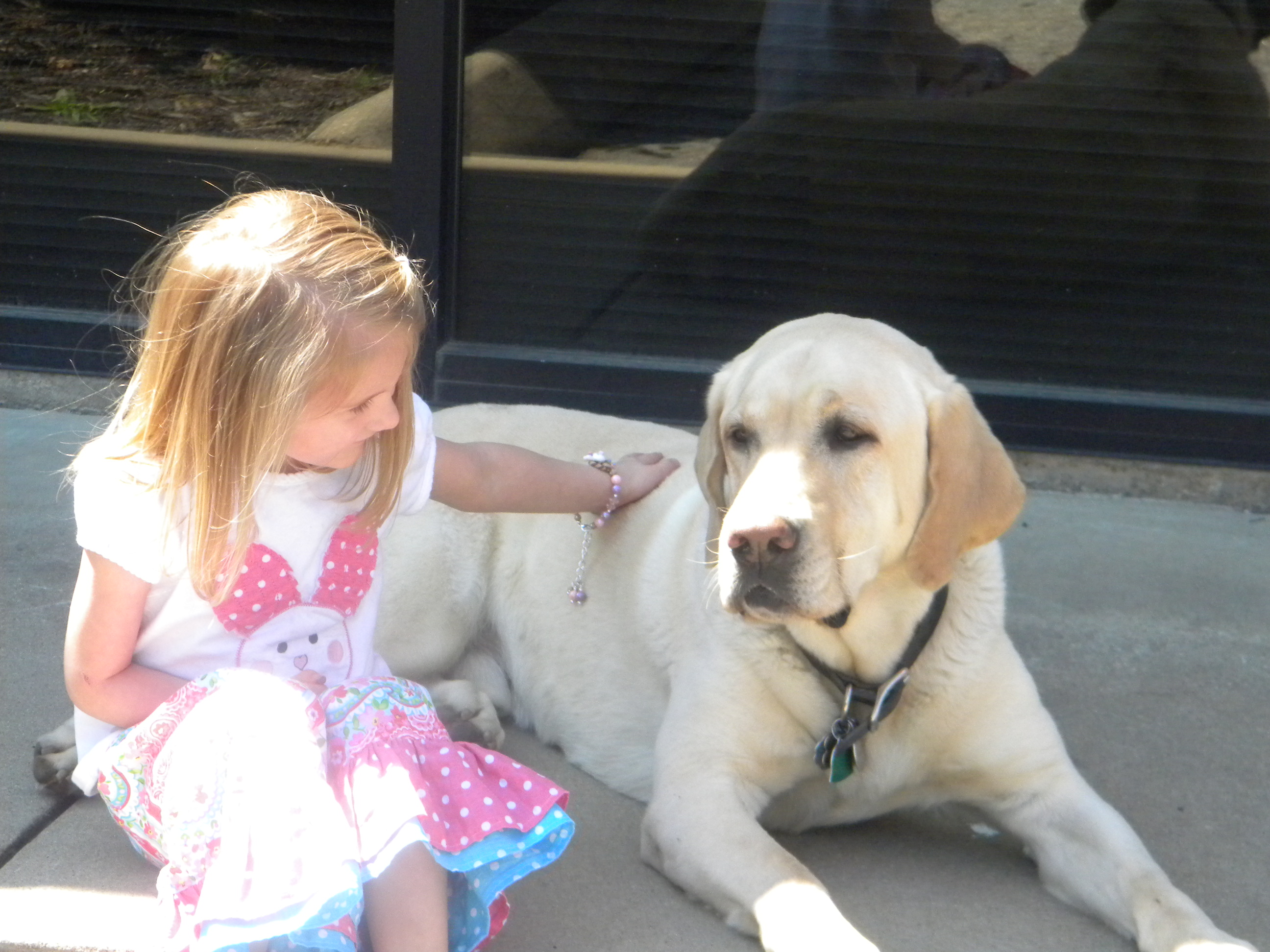 body collision paint repair spartanburg sc